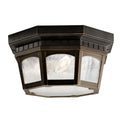 Courtyard Outdoor Ceiling Light
