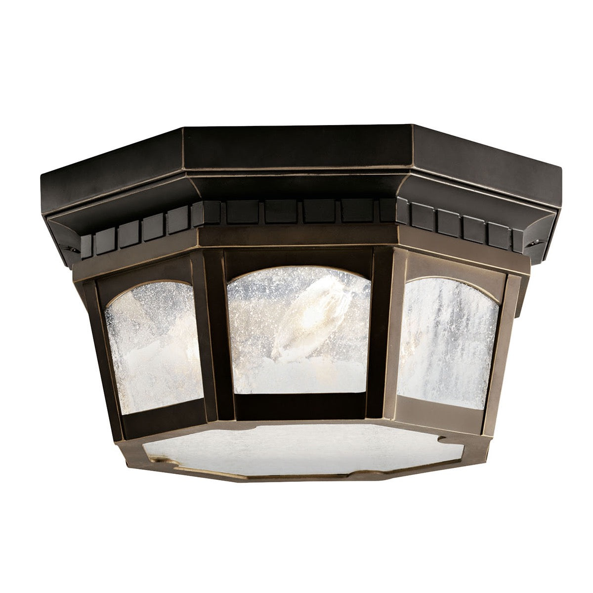 Courtyard Outdoor Ceiling Light
