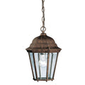 Madison Outdoor Hanging Light 9805TZ
