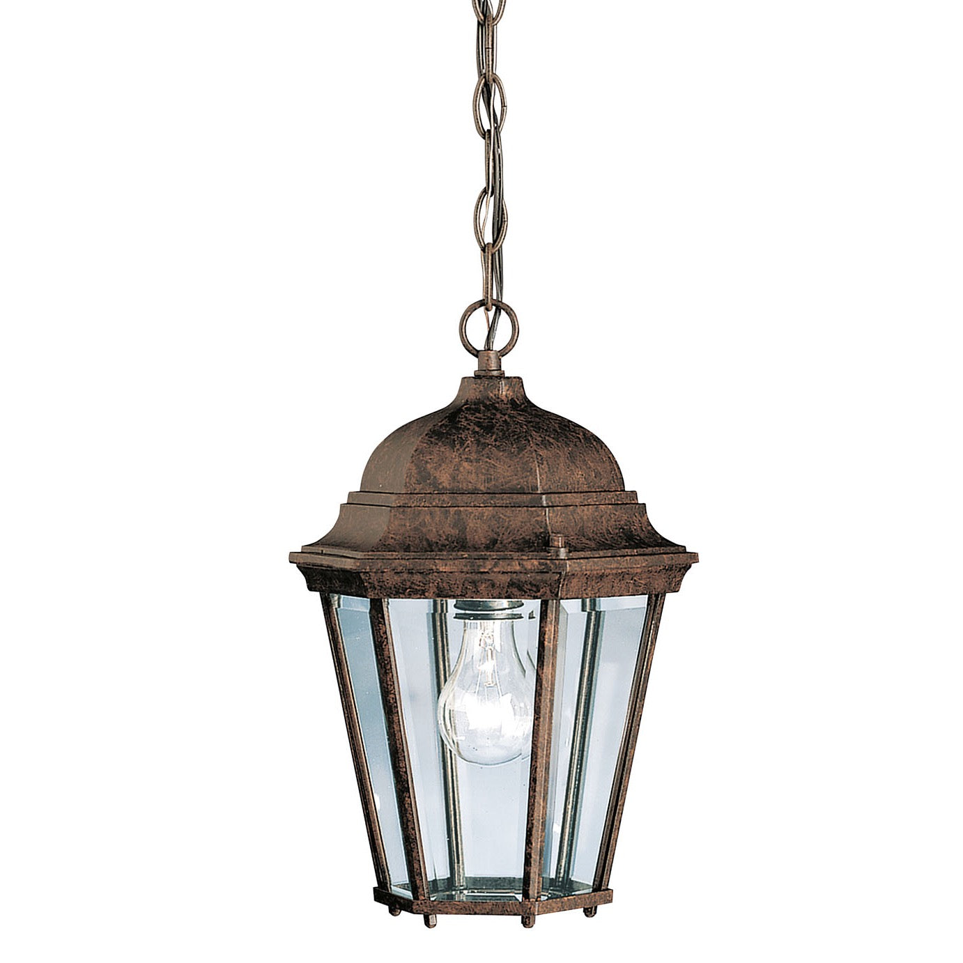 Madison Outdoor Hanging Light 9805TZ