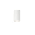 Outdoor Ceiling Light 9834WH