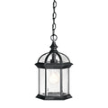 Barrie Outdoor Hanging Light 9835BK