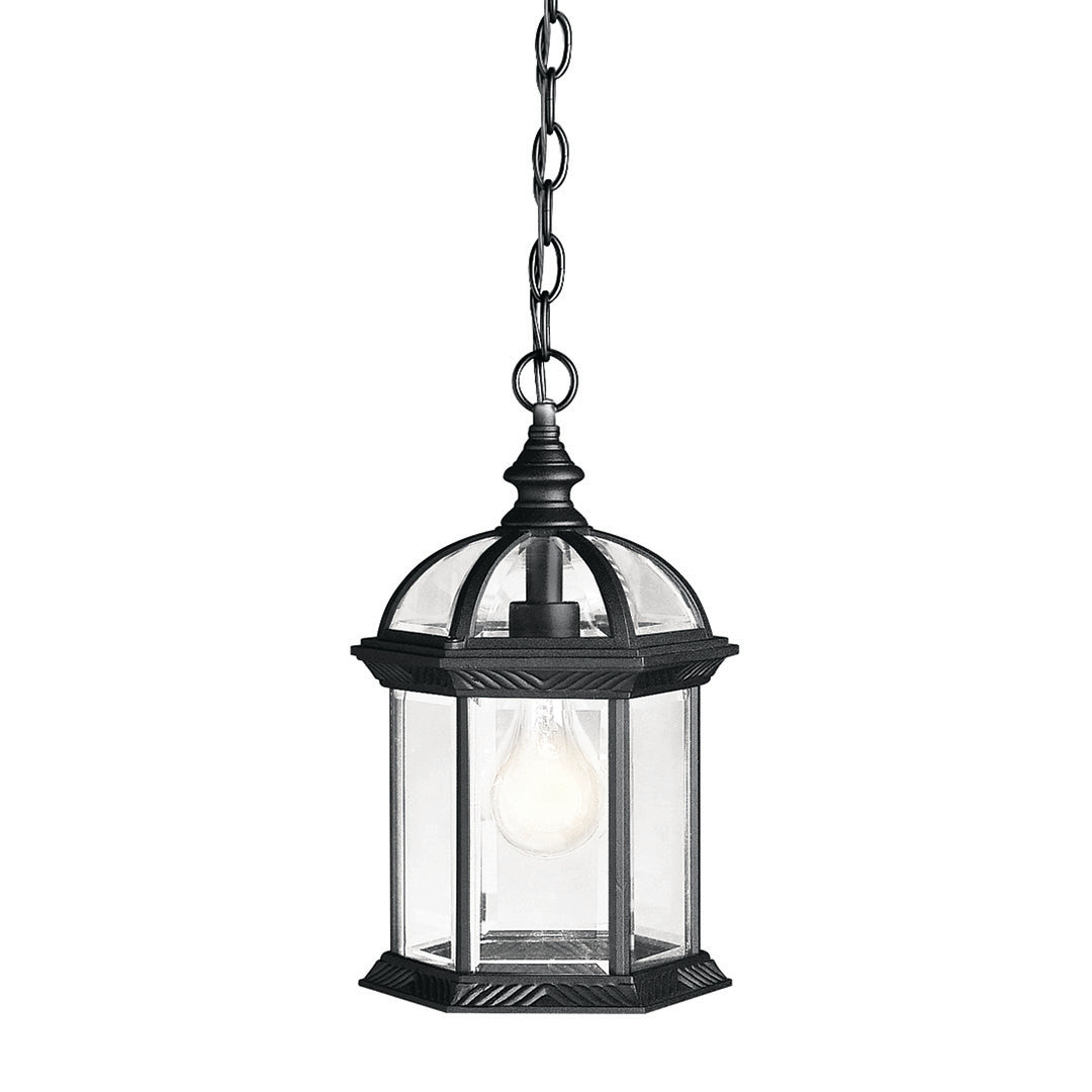 Barrie Outdoor Hanging Light 9835BK