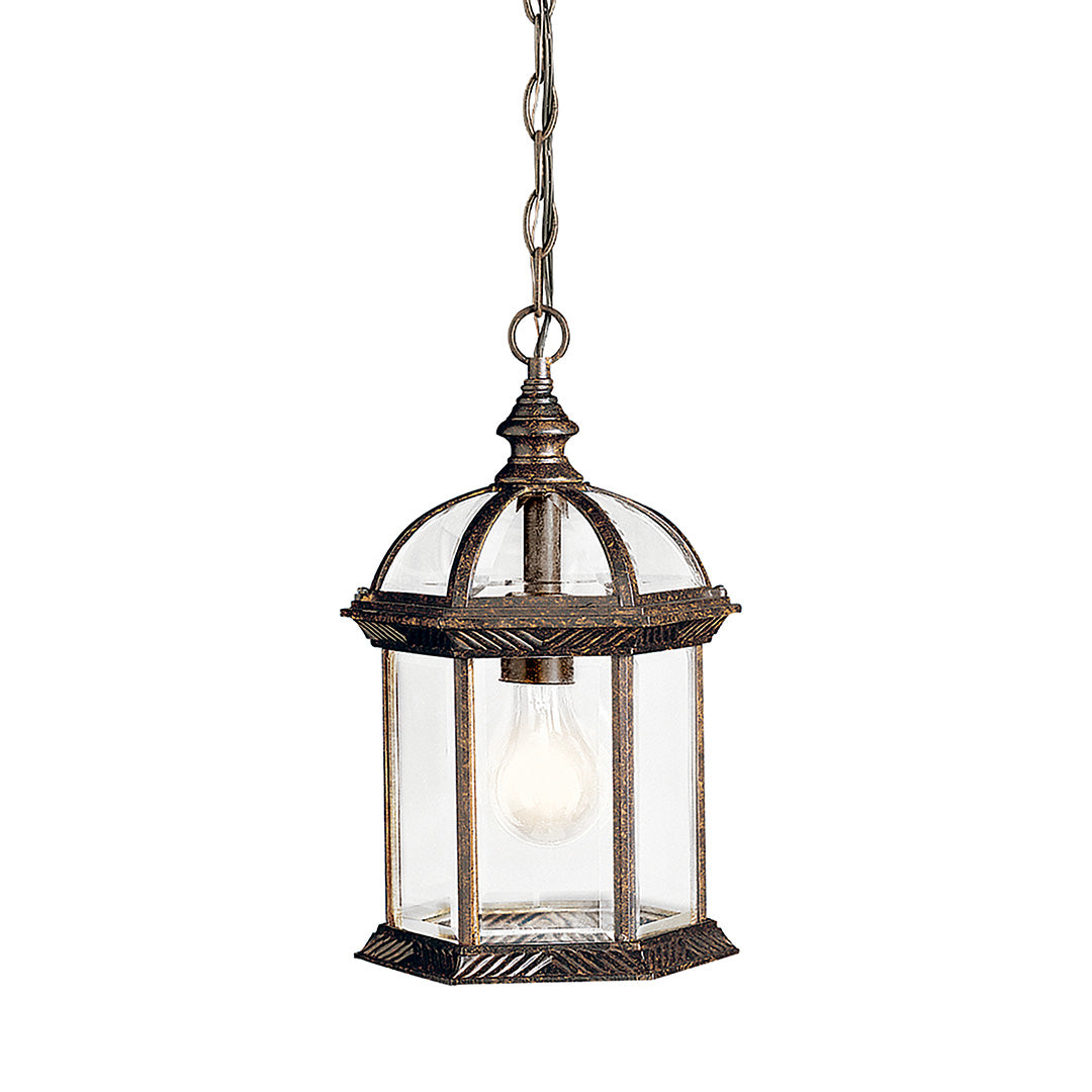 Barrie Outdoor Hanging Light 9835TZ