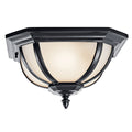 Salisbury Outdoor Ceiling Light 9848BK