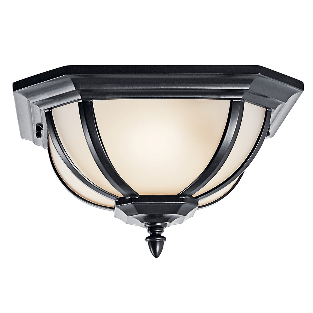 Salisbury Outdoor Ceiling Light 9848BK