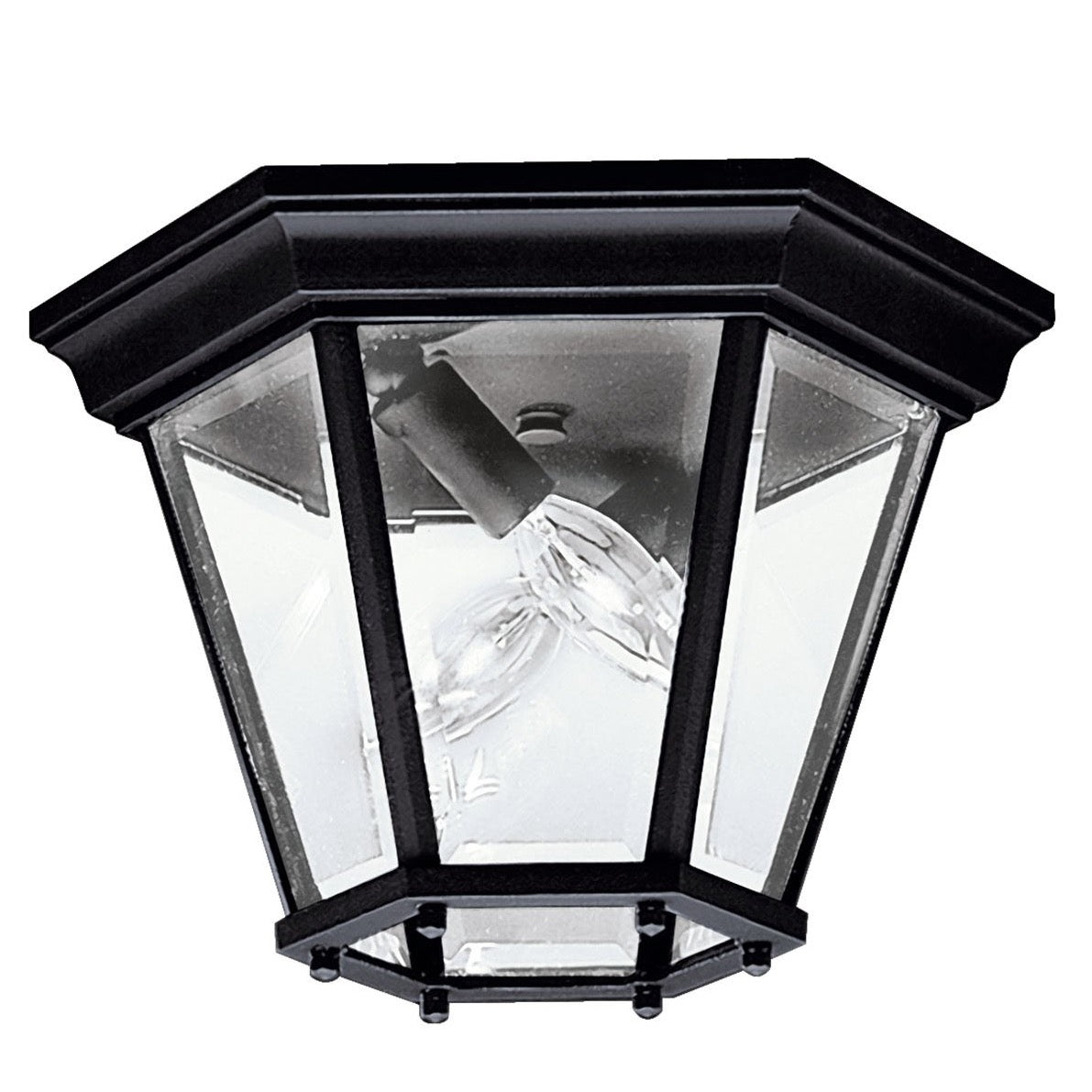 Madison Outdoor Ceiling Light 9850BK
