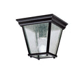 Outdoor Ceiling Light 9859BK