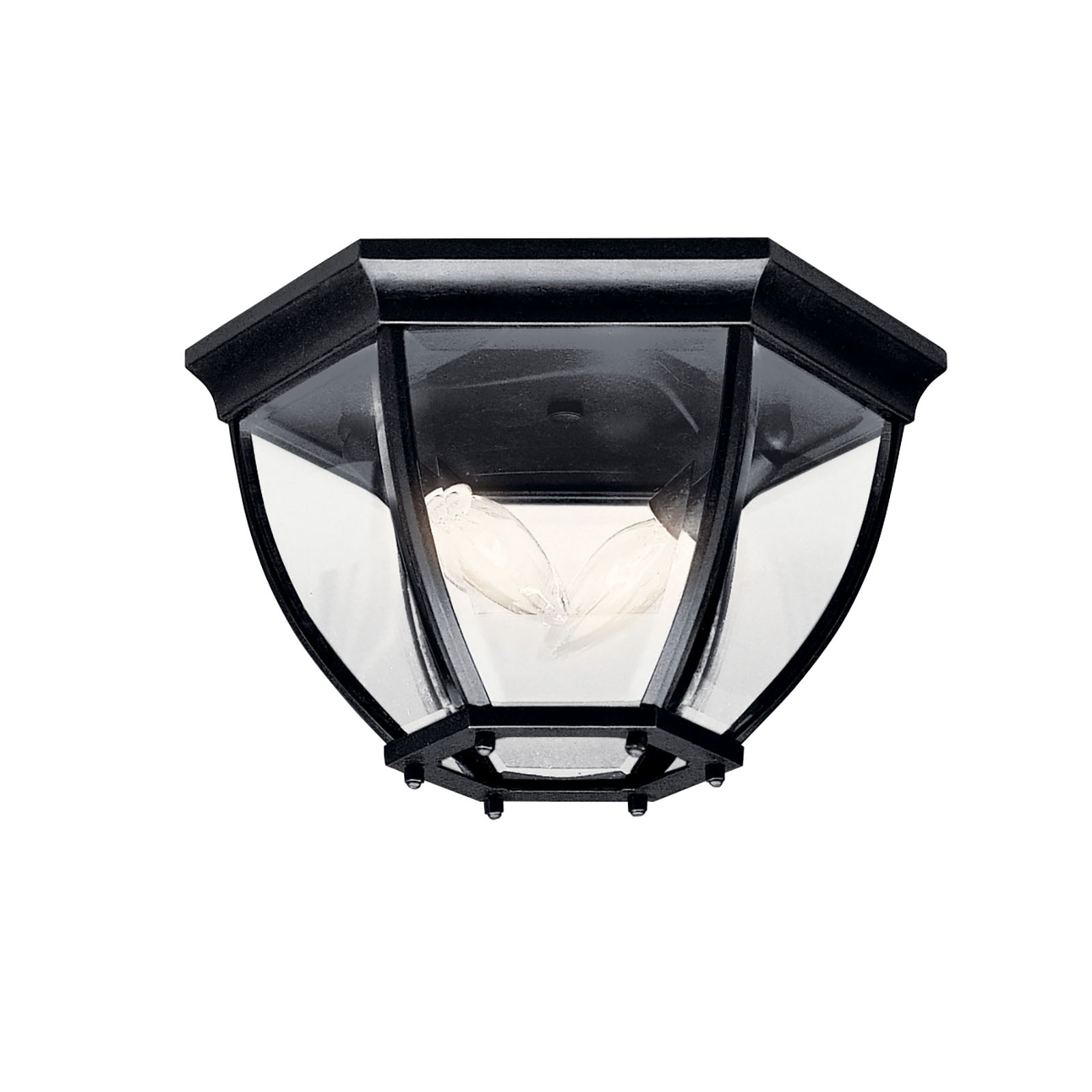 Outdoor Ceiling Light 9886BK